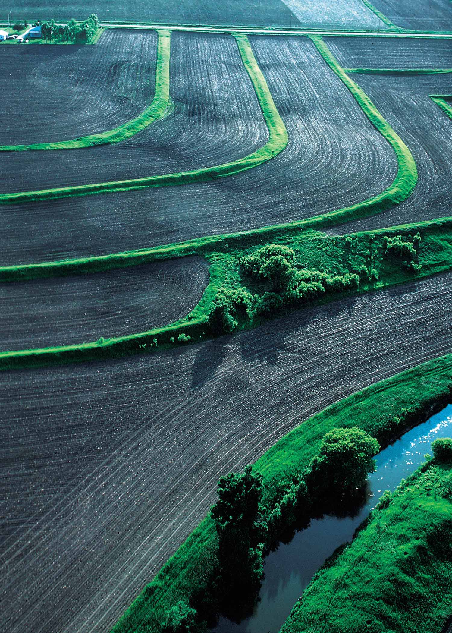 Terraces, conservation tillage and conservation buffers save soil and improve water quality on this farm in Woodbury County in northwest Iowa.